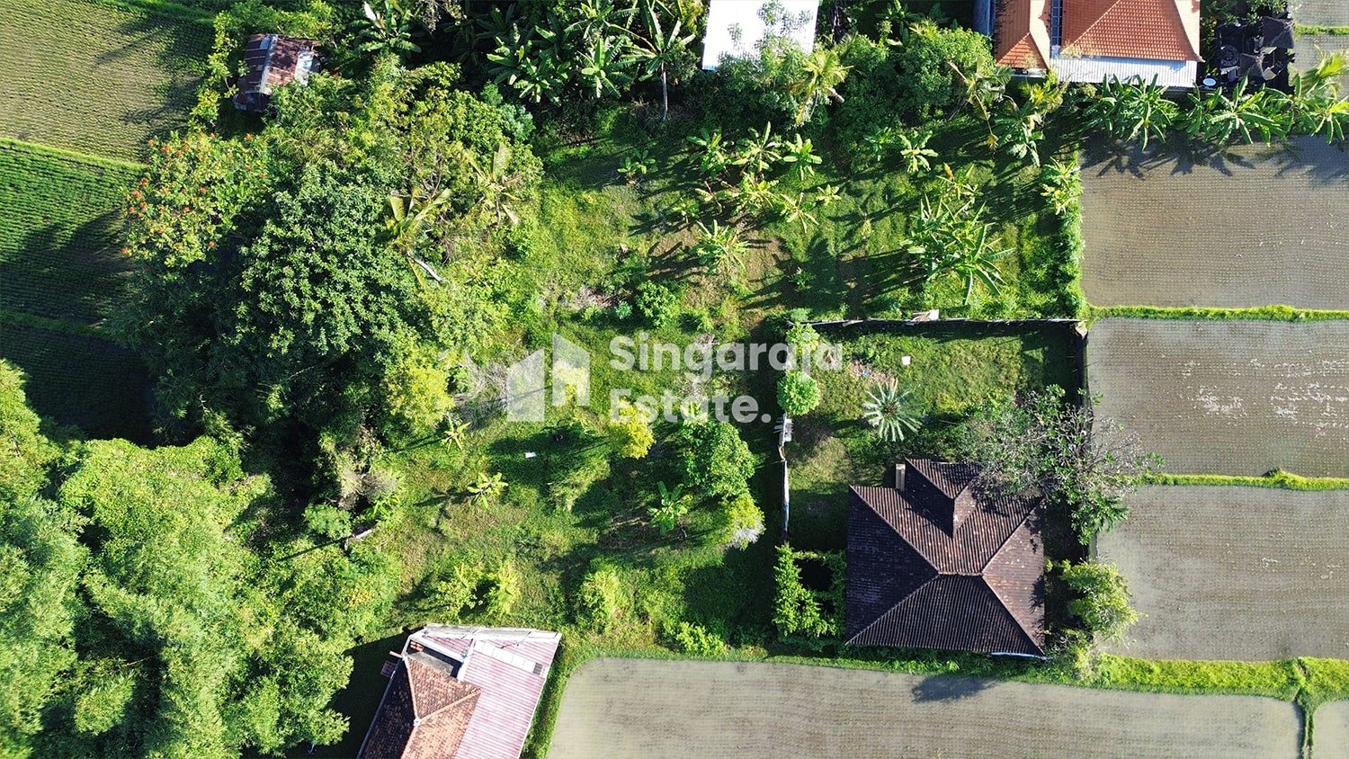 18 Are Land with Rice Field View Just 7 Mins to Singaraja City - Image 2